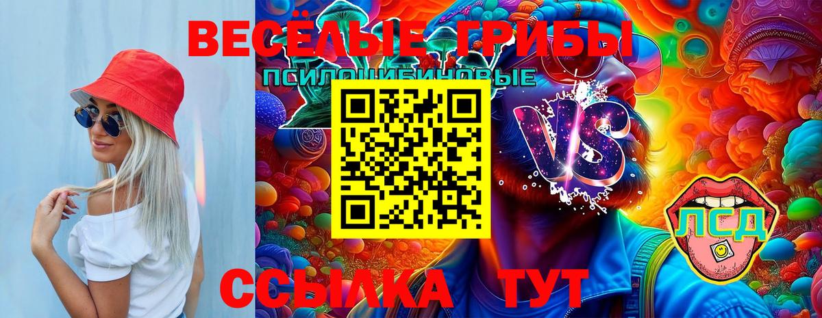 Гусиноозёрск  Псилоцибиновые грибы MAGIC MUSHROOMS  наркота  Псилоцибиновые грибы Psilocybe  Вход с VPN 